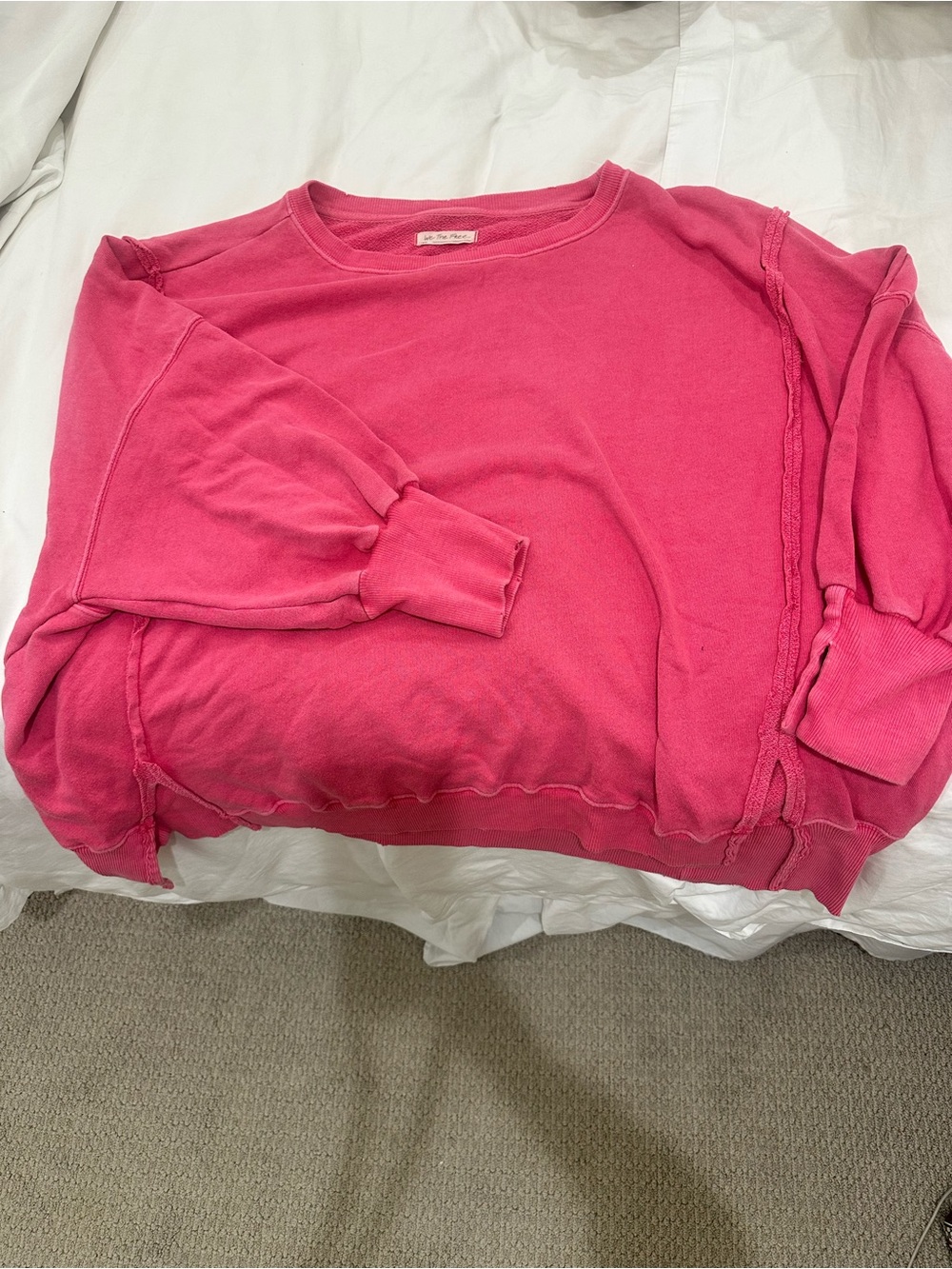 Free People Sweatshirt